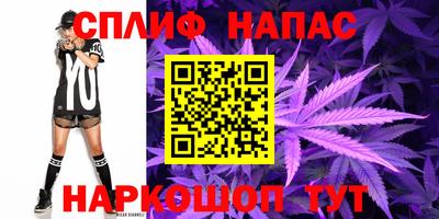 дживик Нарткала