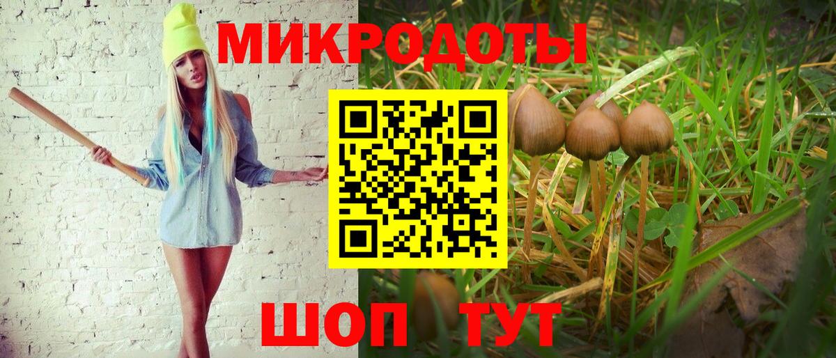 Псилоцибиновые грибы Psilocybine cubensis  Вход с VPN  Тула 